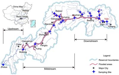 Microbial community and soil enzyme activities driving microbial metabolic efficiency patterns in riparian soils of the Three Gorges Reservoir